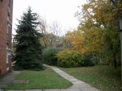 flat For rent 1011 Budapest Kocsány utca Property image: 16