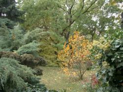 flat For rent 1011 Budapest Kocsány utca Property image: 17