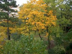 flat For rent 1011 Budapest Kocsány utca Property image: 15