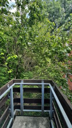 flat For rent 1011 Budapest Kocsány utca Property image: 10