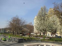 Kiadó lakás 1056 Budapest Molnár utca Ingatlan kép: 10