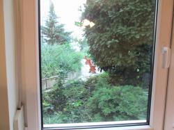 Kiadó lakás 1085 Budapest Mária utca Ingatlan kép: 10