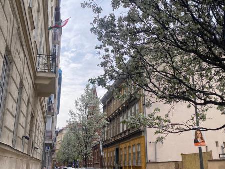 Kiadó lakás 1085 Budapest Mária utca Ingatlan kép: 18