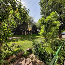 Kiadó lakás 1071 Budapest Damjanich utca Ingatlan kép: 17