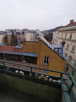 Kiadó lakás 1056 Budapest Szerb utca Ingatlan kép: 4