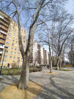 flat For sale 1042 Budapest Árpád út 53sqm 42,9M HUF Property image: 28