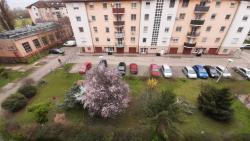 flat For rent 1152 Budapest Szilas park Property image: 2