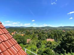 house For sale 1029 Budapest Simon utca 392sqm 275M HUF Property image: 3