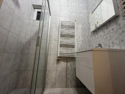 flat For sale 1074 Budapest Alsó erdősor 173sqm 216,25M HUF Property image: 9