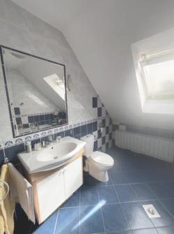 house For sale 2016 Leányfalu Móricz Zsigmond köz 410sqm 299,9M HUF Property image: 6
