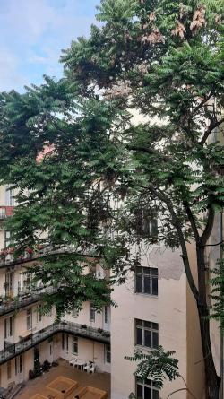 Eladó lakás 1136 Budapest Hollán Ernő utca 100m2 149M Ft Ingatlan kép: 1