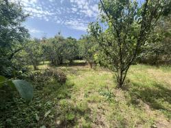 land For sale 1223 Budapest Vilmos utca 149,9M HUF Property image: 11