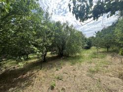 land For sale 1223 Budapest Vilmos utca 149,9M HUF Property image: 12