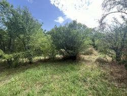 land For sale 1223 Budapest Vilmos utca 149,9M HUF Property image: 4