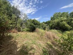 land For sale 1223 Budapest Vilmos utca 149,9M HUF Property image: 7