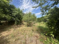 land For sale 1223 Budapest Vilmos utca 149,9M HUF Property image: 2