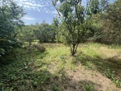 land For sale 1223 Budapest Vilmos utca 149,9M HUF Property image: 3