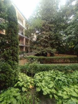 flat For sale 1035 Budapest Hunor utca 34sqm 49M HUF Property image: 7