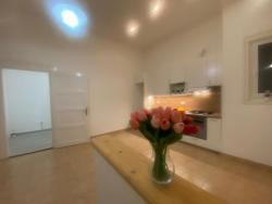 10127-2051-kiado-lakas-for-rent-flat-1066-budapest-vi-kerulet-terezvaros-zichy-jeno-utca-fsz-ground-74m2-966-8.jpg