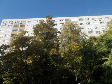 Eladó lakás 1033 Budapest Harrer Pál utca Ingatlan kép: 17