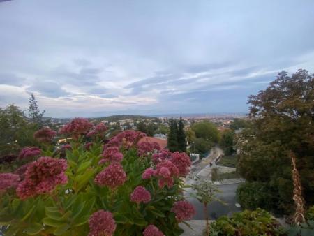 flat For rent 1126 Budapest Szendrő utca Property image: 17