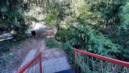 Eladó ház 2092 Budakeszi Makkosi út Ingatlan kép: 28