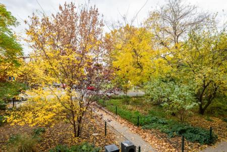 flat For sale 1139 Budapest Fiastyúk utca Property image: 13