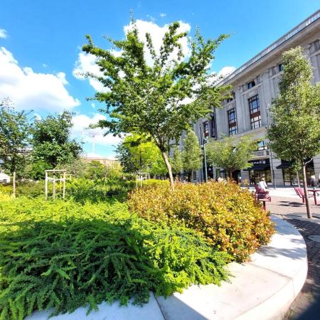 Eladó lakás 1072 Budapest Rákóczi út Ingatlan kép: 20