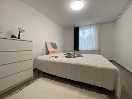 Kiadó ház 2363 Felsőpakony Dr.Jáhn Ferenc utca Ingatlan kép: 3