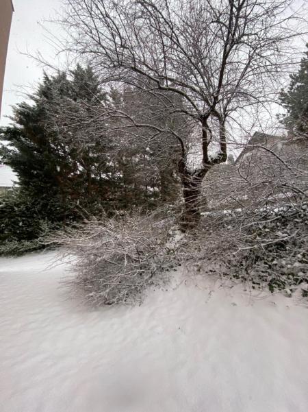 Kiadó lakás 1118 Budapest Radvány utca Ingatlan kép: 15