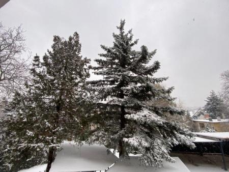 Kiadó lakás 1118 Budapest Radvány utca Ingatlan kép: 11