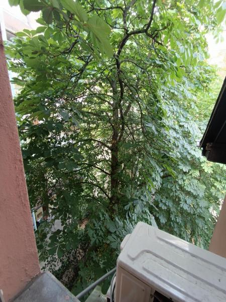 Eladó lakás 1027 Budapest Tölgyfa utca Ingatlan kép: 15