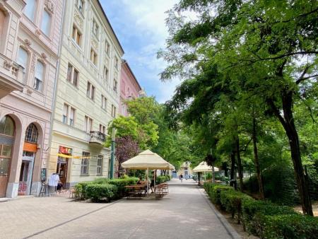 Kiadó lakás 1084 Budapest Mátyás tér Ingatlan kép: 23