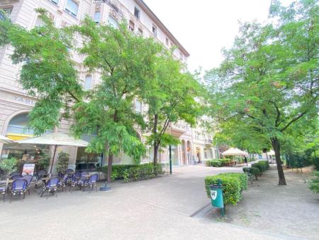 Kiadó lakás 1084 Budapest Mátyás tér Ingatlan kép: 25