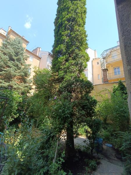 flat For sale 1034 Budapest Szomolnok utca Property image: 22