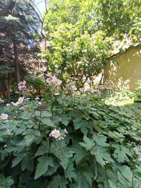 flat For sale 1034 Budapest Szomolnok utca Property image: 24