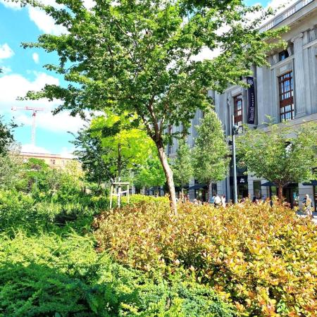 Kiadó lakás 1072 Budapest Rákóczi út Ingatlan kép: 20
