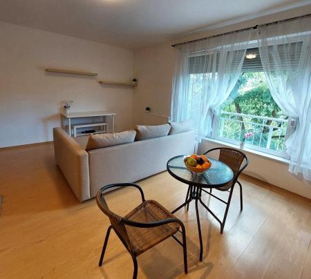 10129-2016-kiado-lakas-for-rent-flat-1084-budapest-viii-kerulet-jozsefvaros-matyas-ter-ii-emelet-2nd-floor-28m2-534.jpg