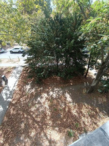 flat For sale 1033 Budapest Meggyfa utca Property image: 5